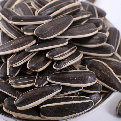 生瓜子與葵花籽 五香、焦糖、原味的多樣風味選擇